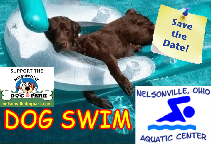 SAVE THE DATE!!! Nelsonville Aquatic Center 2024 Doggie Swim Mon, 9/9/24, 4PM to 7PM, $5 per dog, all proceeds to aid the Nelsonville Dog&nbsp;Park
