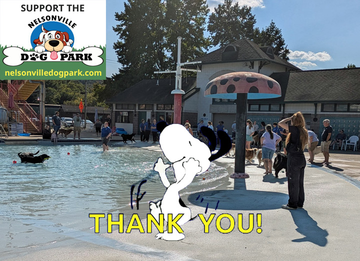 Thank you to everyone and their 33 dogs for coming out to the 2025 Nelsonville Dog&nbsp;Swim