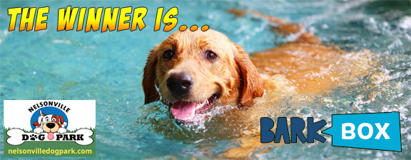 2025 Nelsonville Pool Dog Swim, BarkBox gift certificate door prize winner&nbsp;is!