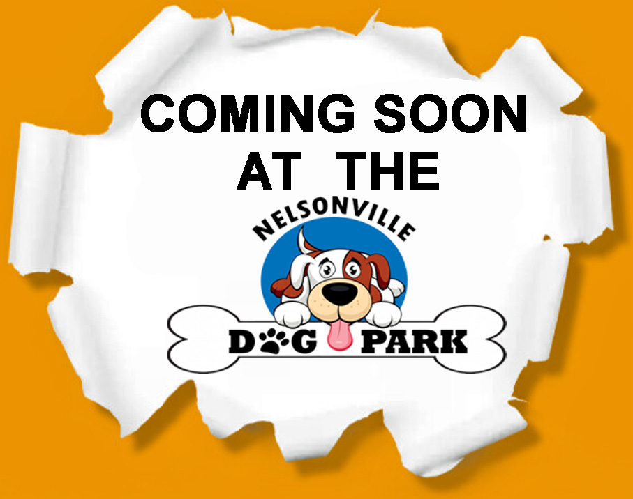 Nelsonville Dog Park soon to install new equipment due to Ohio One Time Strategic Community Investments&nbsp;Grant